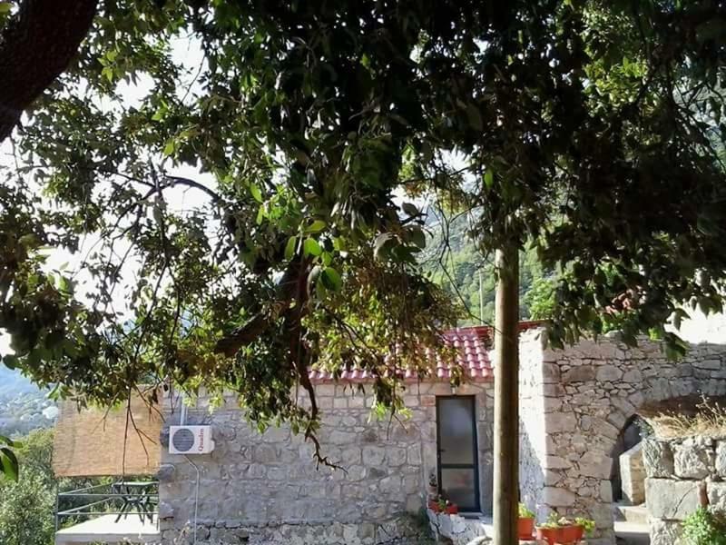 Cottage Melita The Apartment For Animal Lovers Babino Polje Kültér fotó
