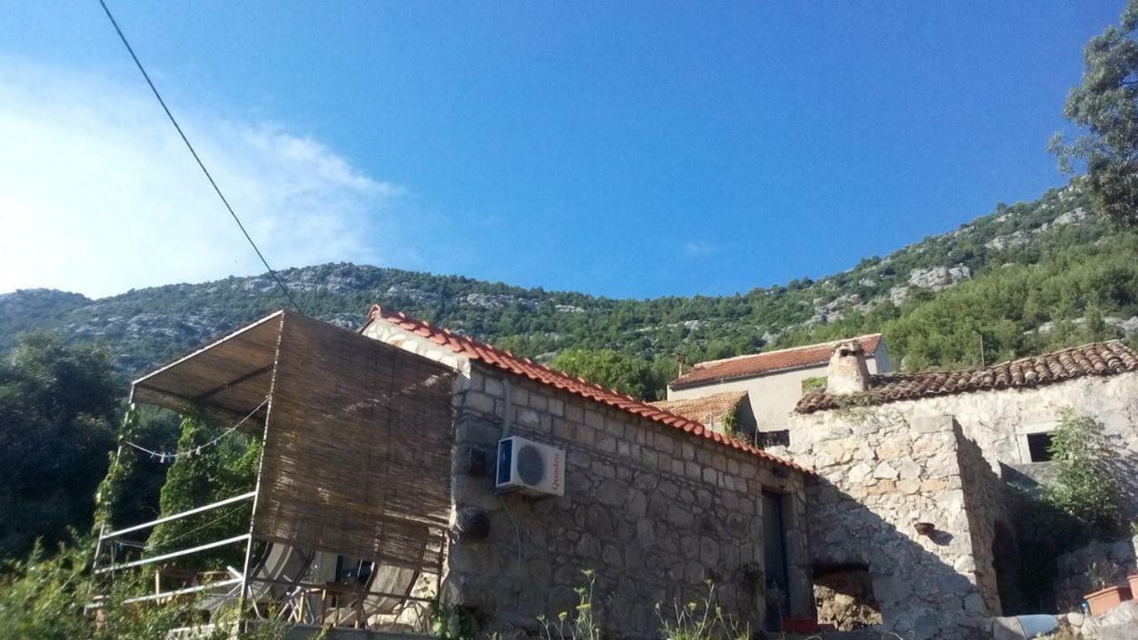 Cottage Melita The Apartment For Animal Lovers Babino Polje Kültér fotó