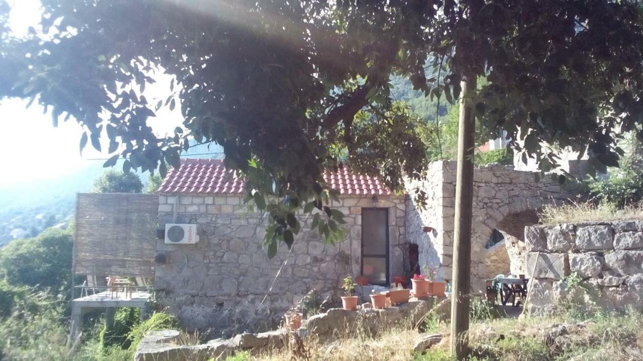 Cottage Melita The Apartment For Animal Lovers Babino Polje Kültér fotó