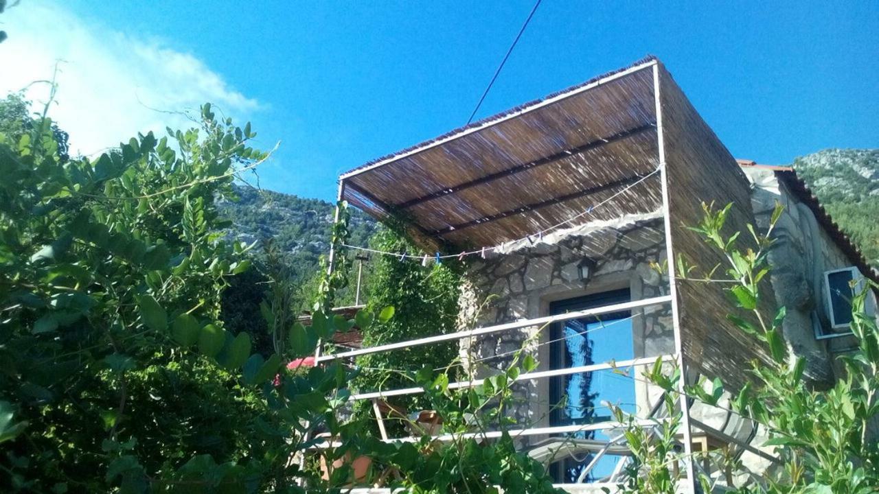 Cottage Melita The Apartment For Animal Lovers Babino Polje Kültér fotó
