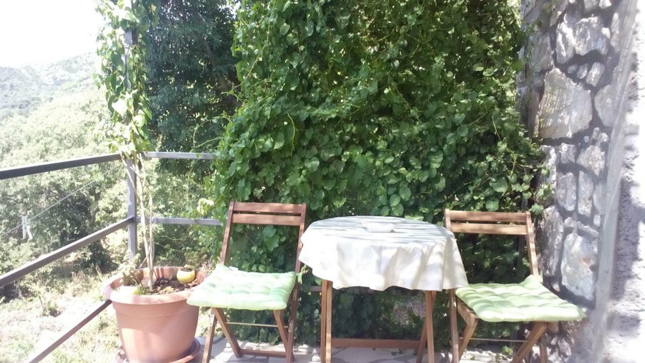 Cottage Melita The Apartment For Animal Lovers Babino Polje Kültér fotó