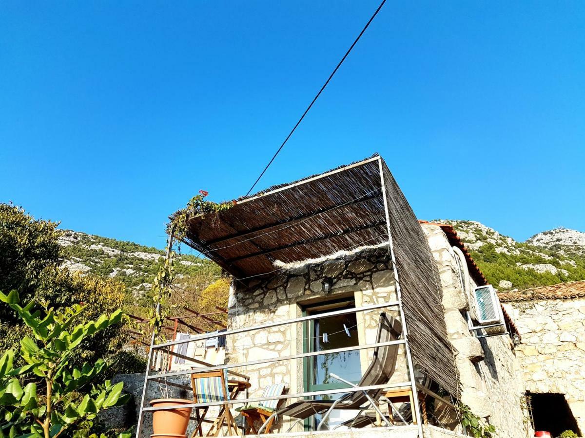 Cottage Melita The Apartment For Animal Lovers Babino Polje Kültér fotó