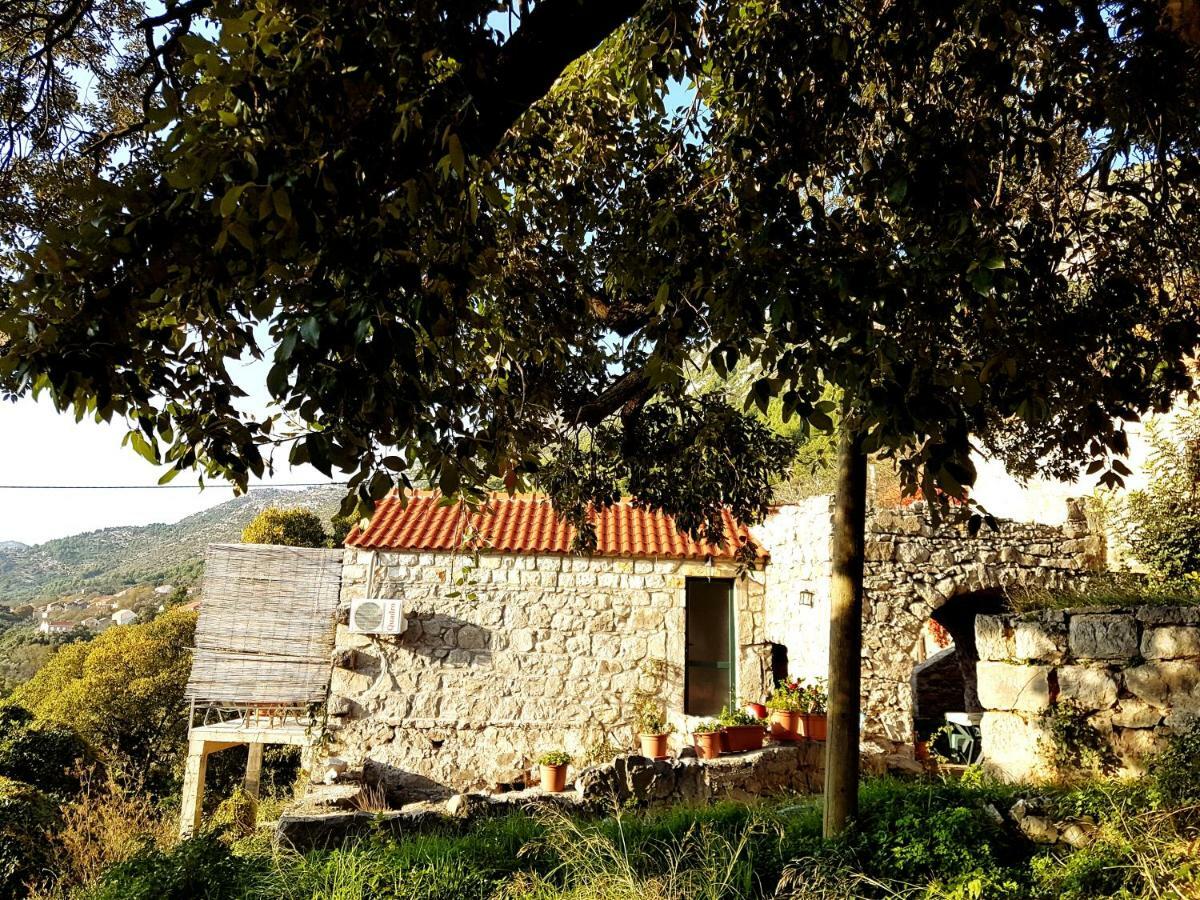 Cottage Melita The Apartment For Animal Lovers Babino Polje Kültér fotó